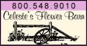 Celeste's flower barn