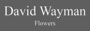 David Wayman Flowers