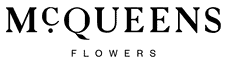 Mcqueens logo