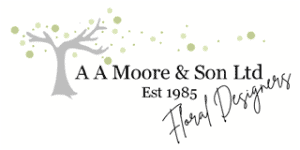 AA more and son logo