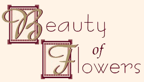 Beauty of flowers logo