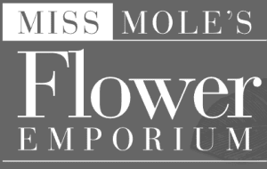 Miss Mole’s Flower Emporium