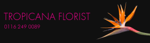 Tropicana florist logo