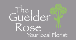 The Guelder Rose