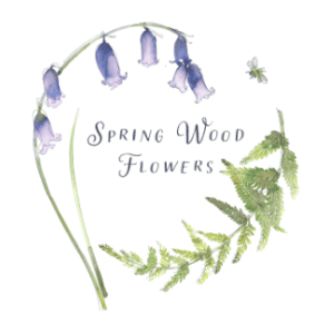 Spring Wood Flowers