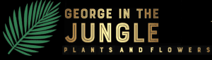 George in The Jungle