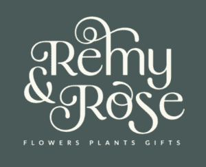 Remy & Rose