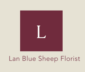 Lan Blue Sheep Florist