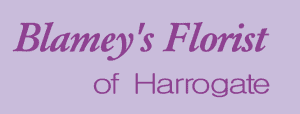 Blameys Florist Harrogate