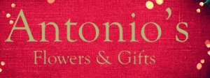 Antonio Flowers & Gifts