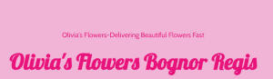 Olivia’s Flowers Bognor Regis